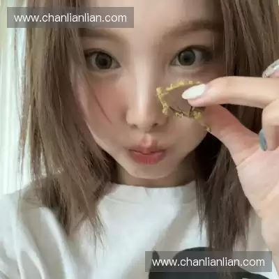 支宏聪